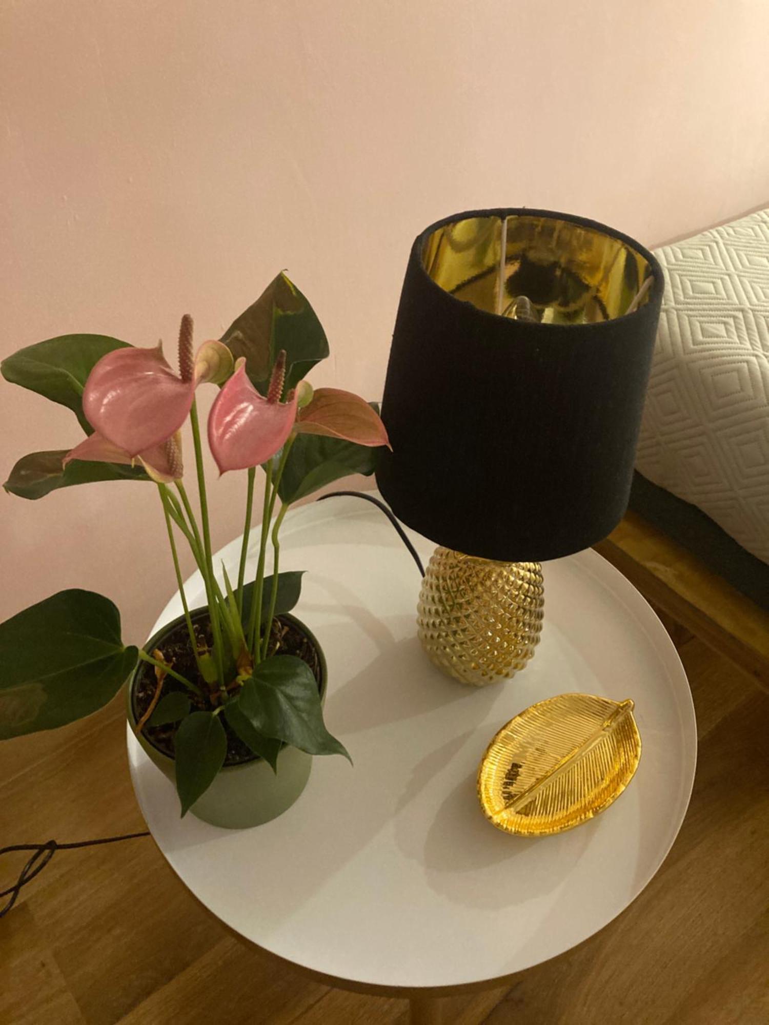 Duomo Suites Firenze Bagian luar foto